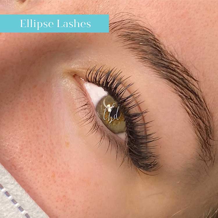 Ellipse Lashes
