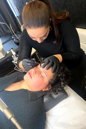 Henna Brow Course